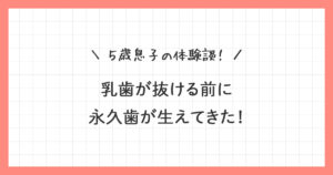 【5歳息子の体験談】乳歯が抜ける前に永久歯が生えてきた！